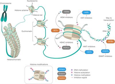 The pharmacoepigenetic paradigm in cancer treatment